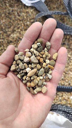 Kamenclub.ru: Галька окат (серо-желтая) фр.5-10 мм. купить  в Туле галька речная рыжий, желтый, рыжий, серо-желтый речная окатанная галька декоративная 5000 руб/т   фото КАМЕНЬ КЛУБ